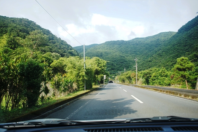 DSC00340_R