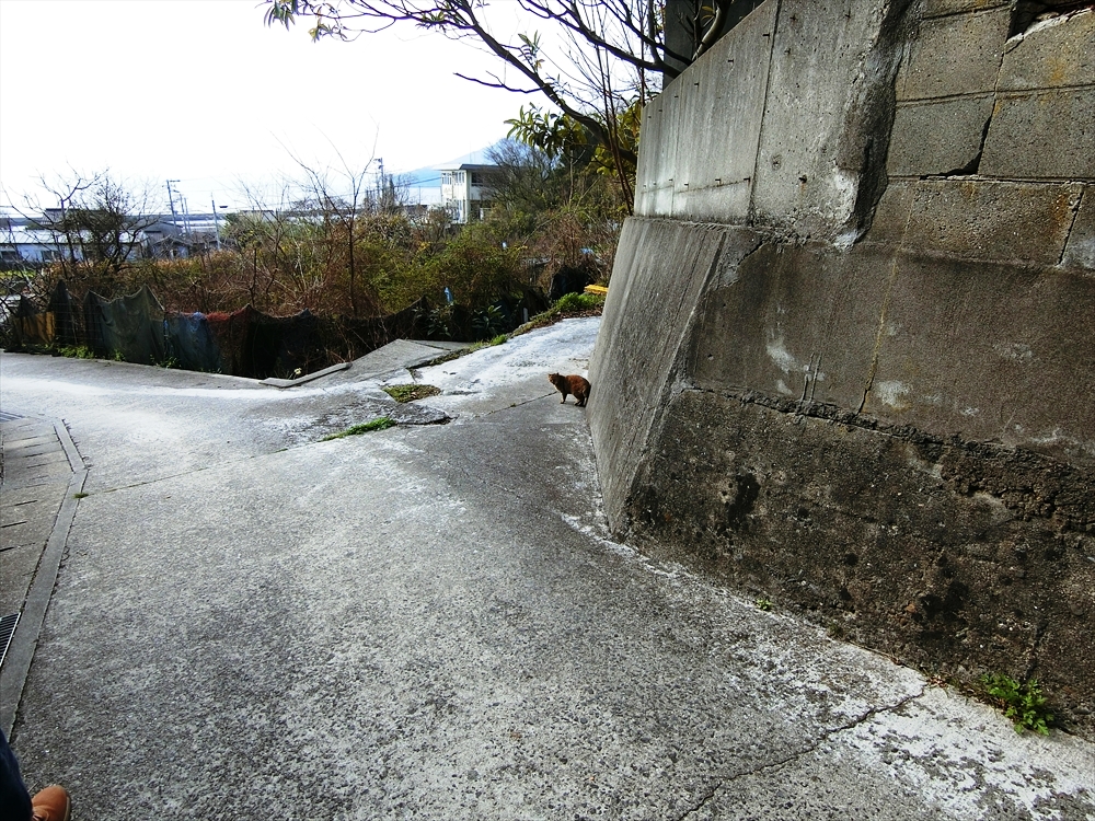 CIMG0215_R