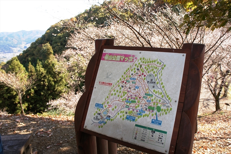 DSC01380_R
