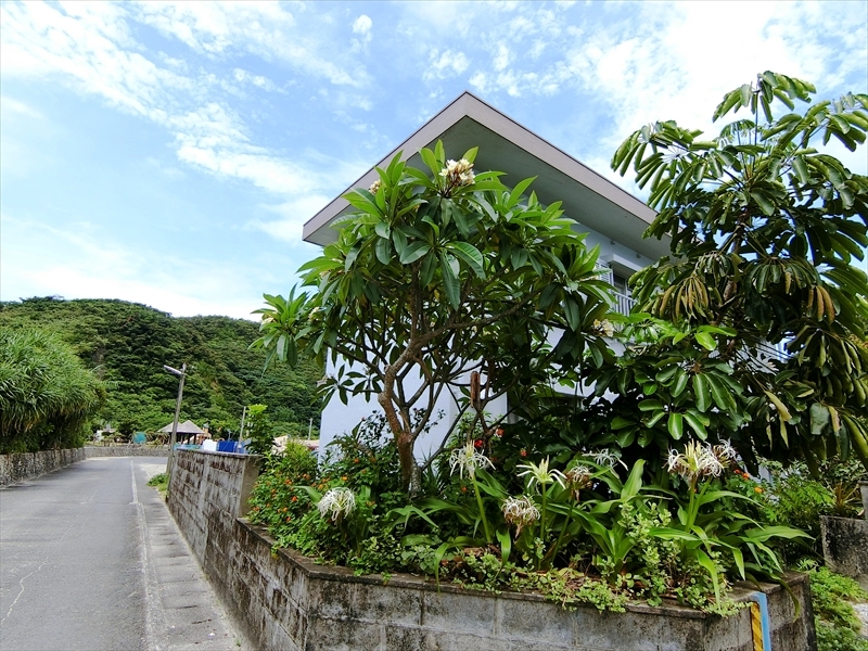 CIMG4628_R