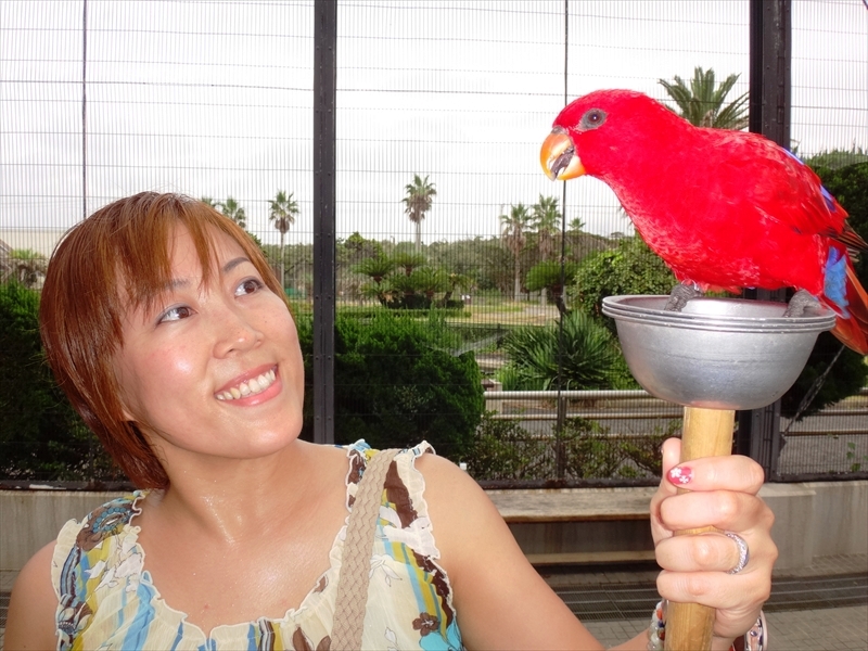 DSC00480_R