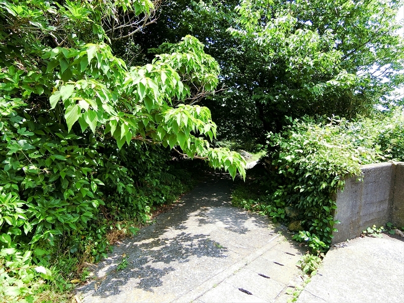 CIMG3220_R
