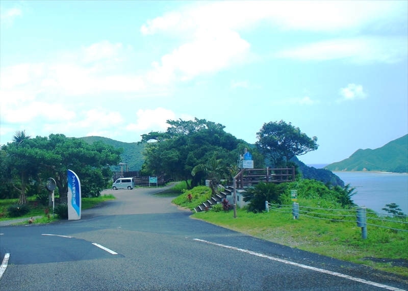 DSC00509_R