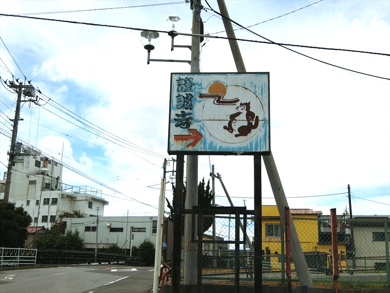 CIMG0449_R