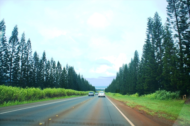 DSC00089_R