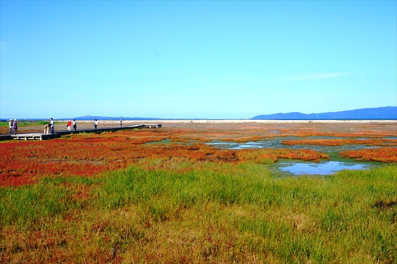 DSC00292_R