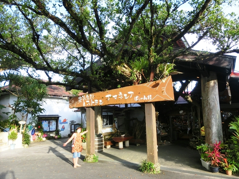 CIMG8294_R