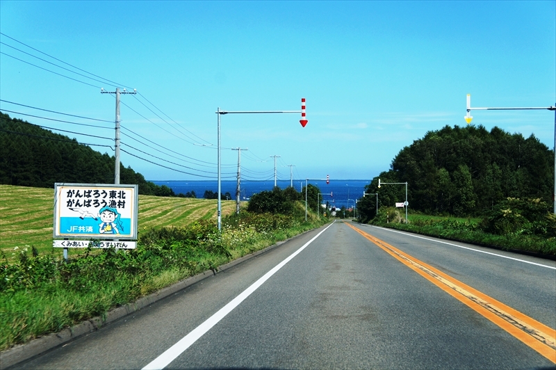 DSC00236_R