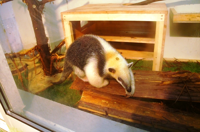 DSC02825_R