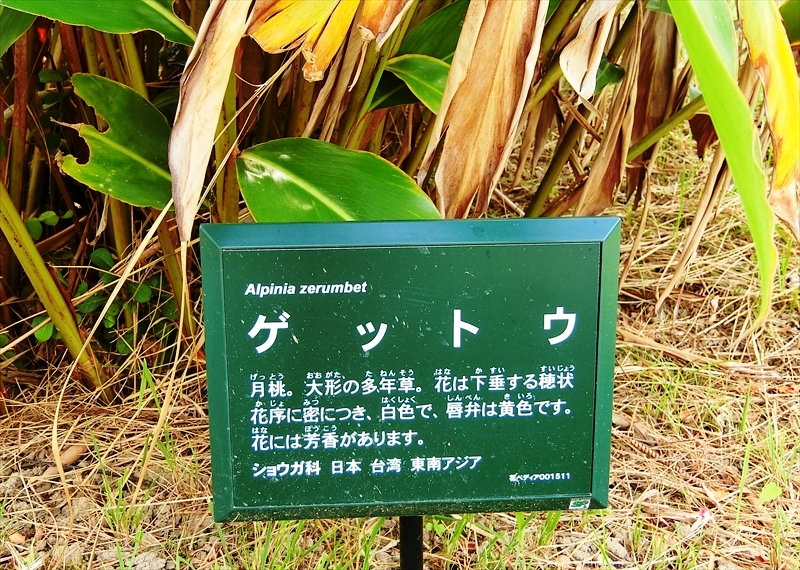 CIMG7332_R