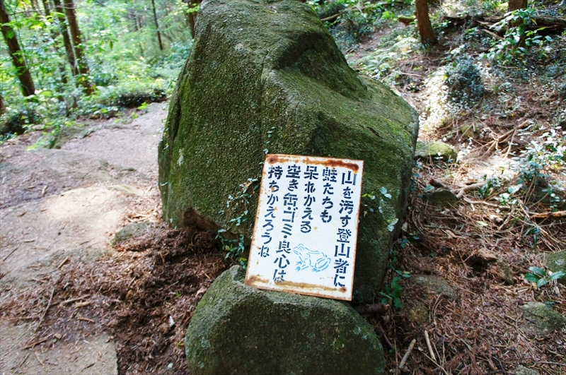 DSC04418_R