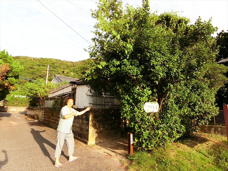 CIMG4419_R