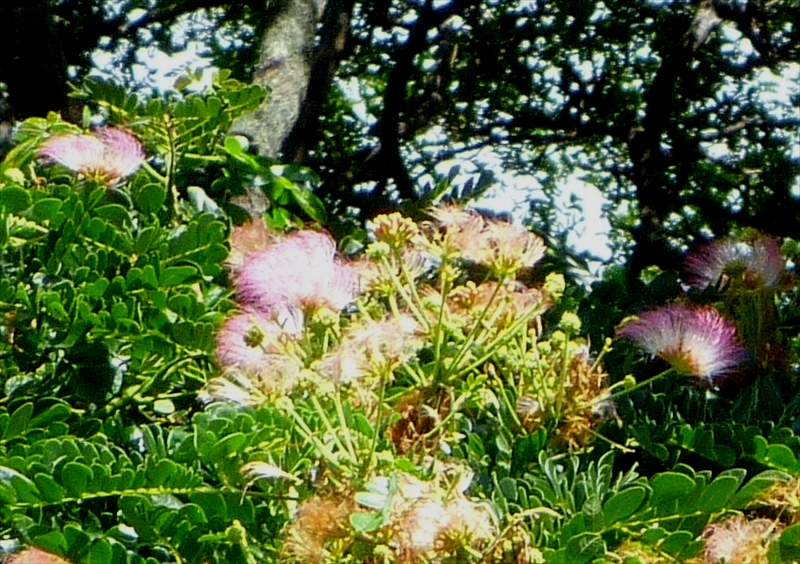 P1020603_R