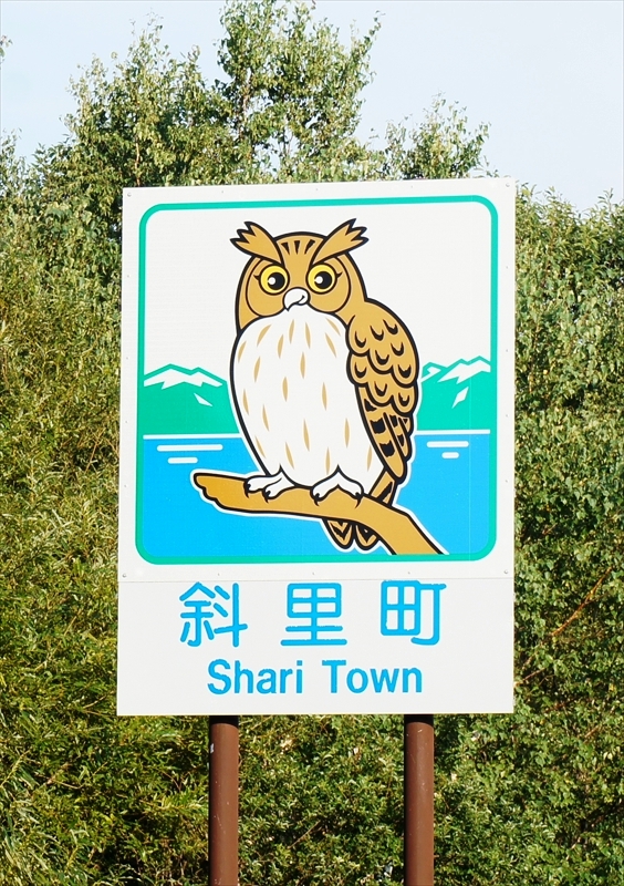 DSC00346_R