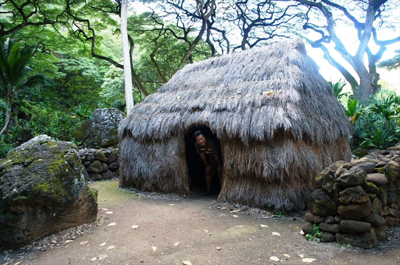 DSC08324_R