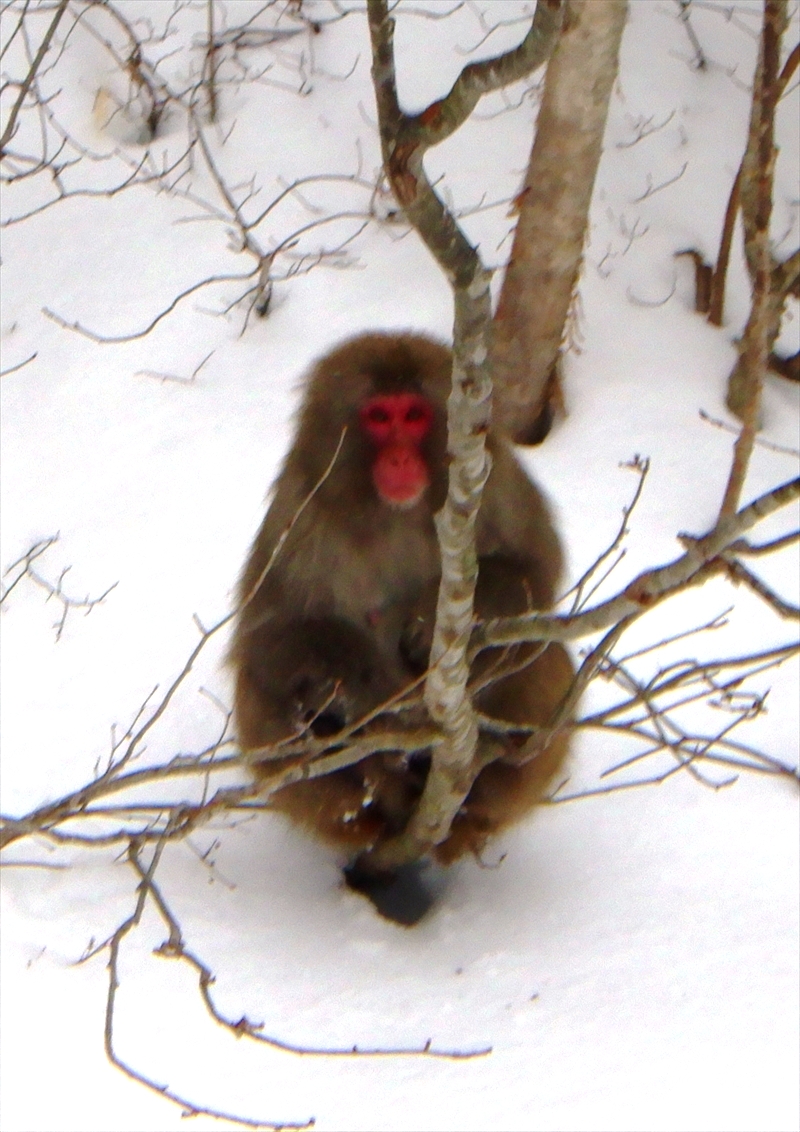 R0013657_R