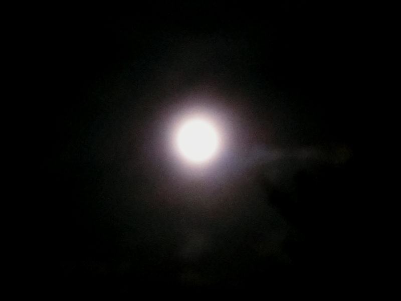 CIMG7192_R