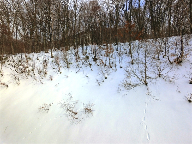 CIMG0824_R