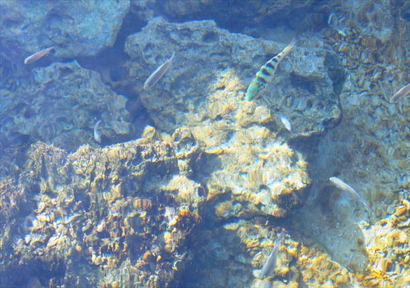 DSC01125_R