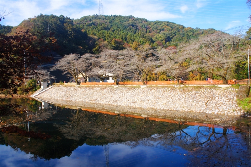 DSC01481_R
