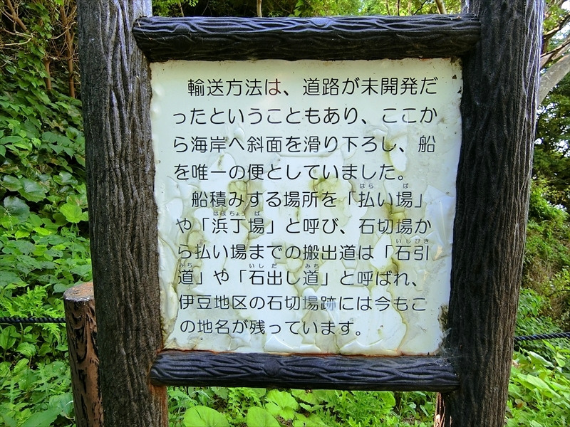 CIMG3154_R