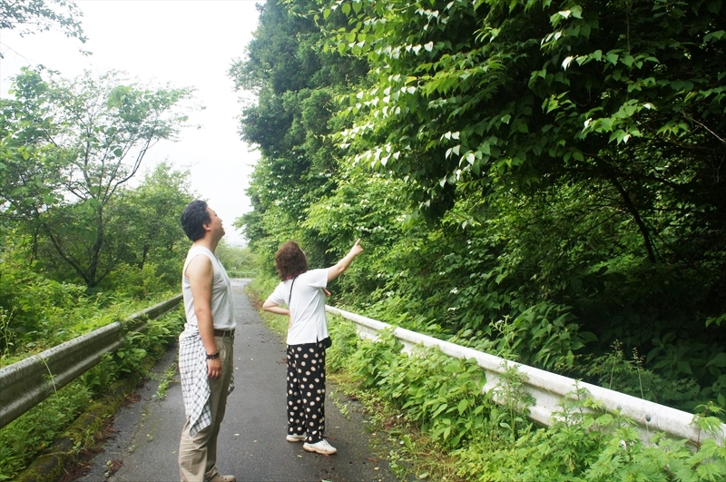DSC06929_R