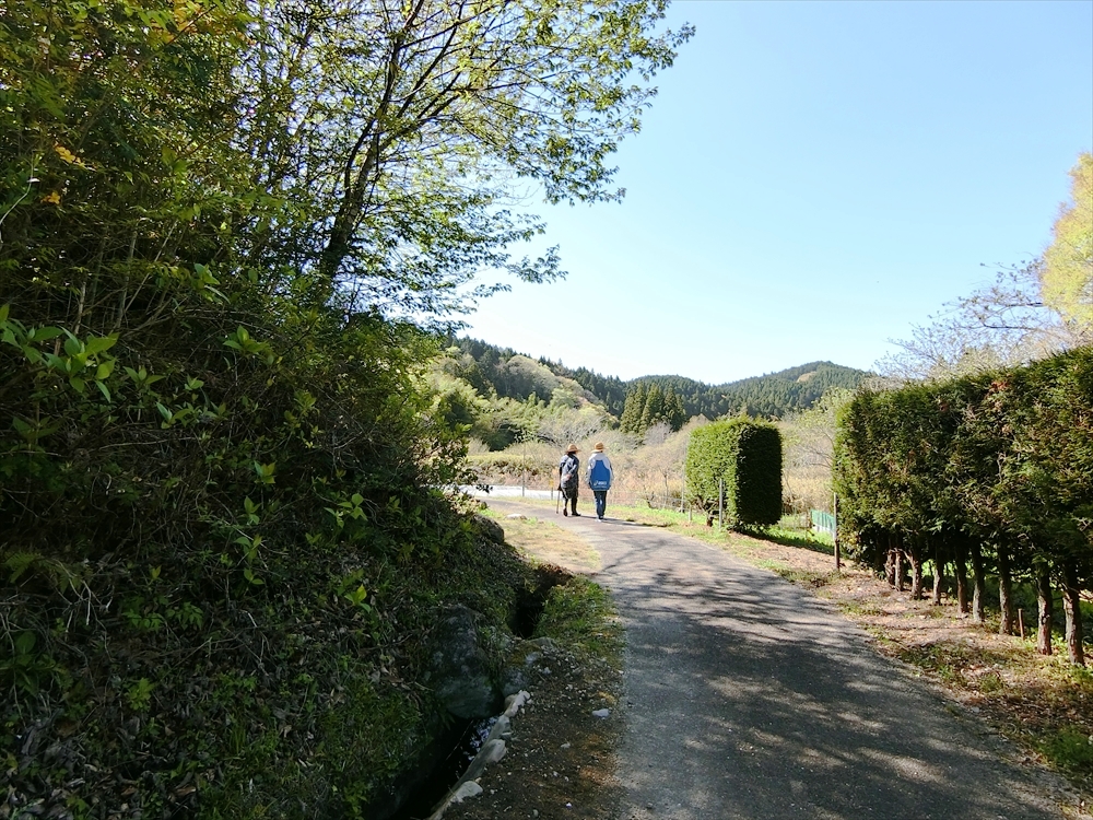 CIMG8668_R