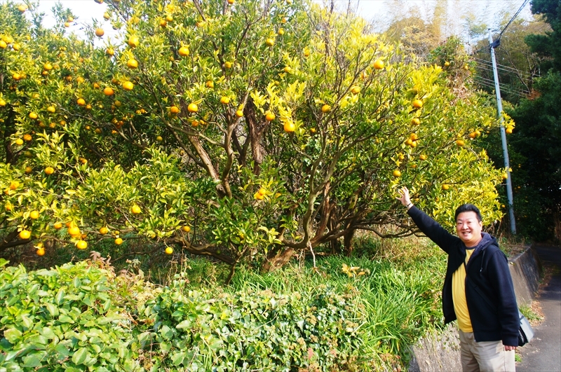 DSC00012_R