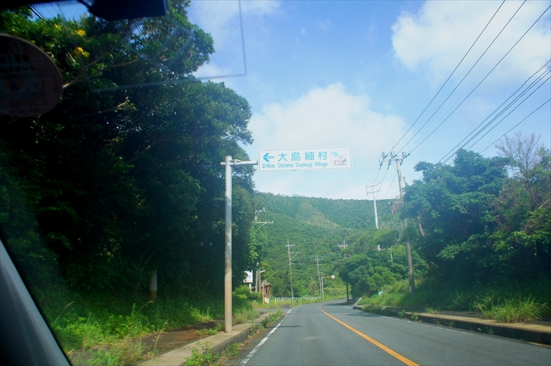 DSC00010_R