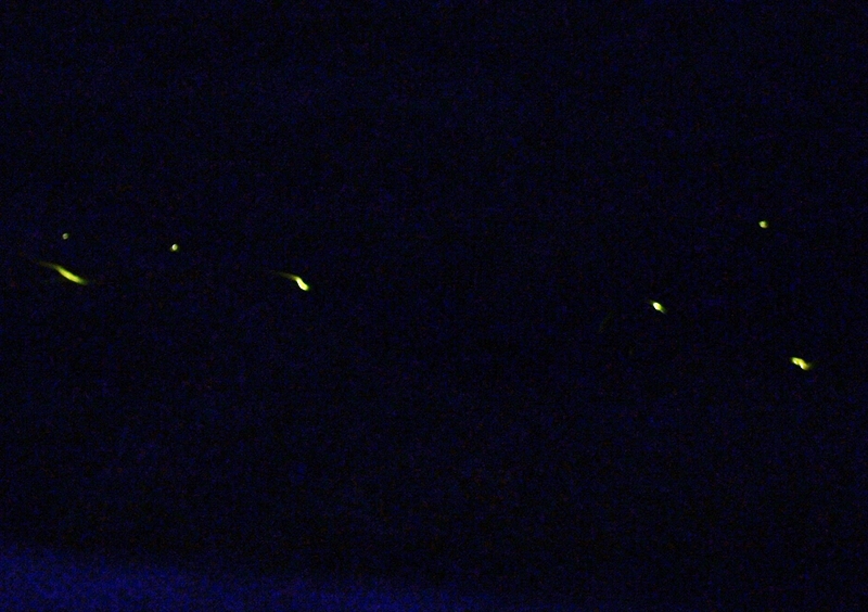 DSC02638_R