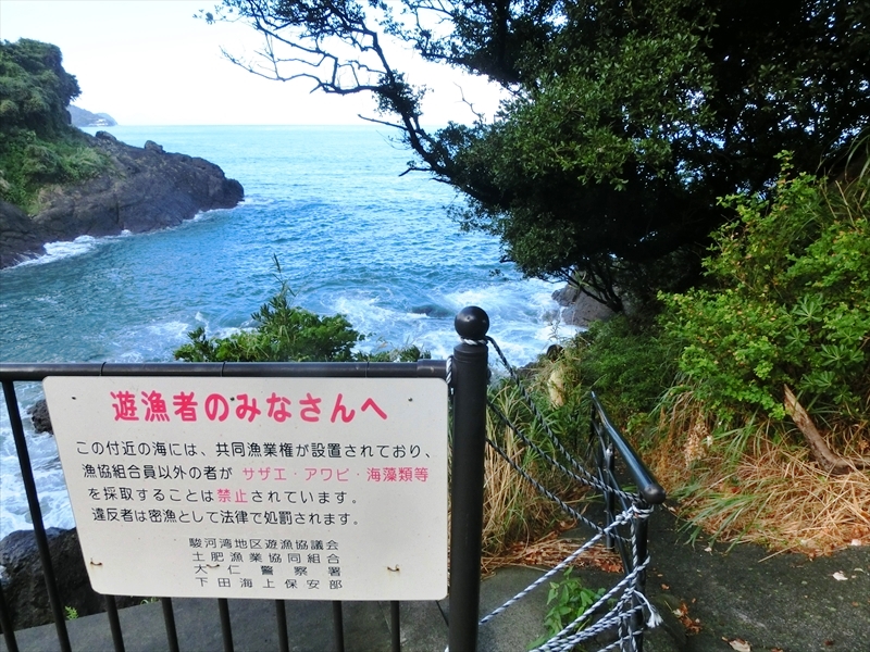 CIMG3347_R