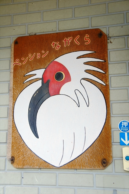 DSC05263_R