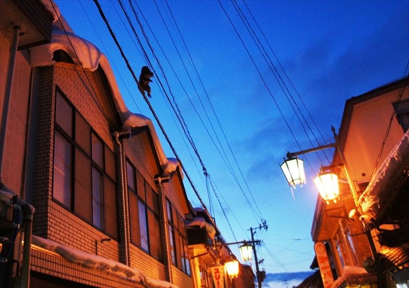 DSC02216_R