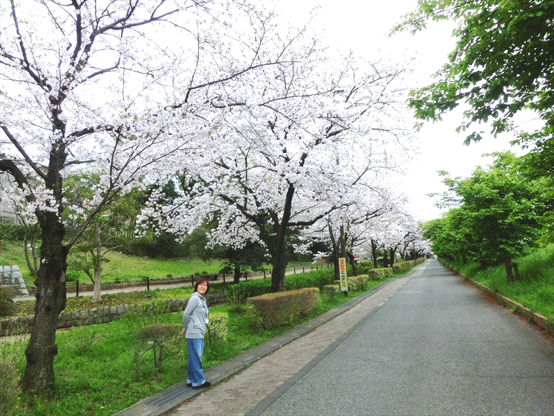 CIMG0946_R
