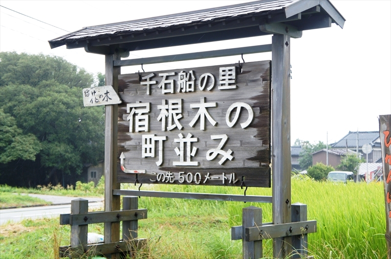 DSC04650_R
