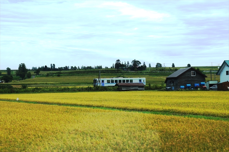 DSC00437_R