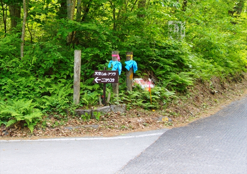 DSC02534_R