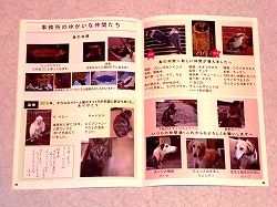仲間たち