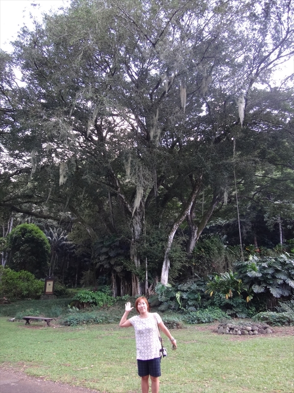 DSC02999_R