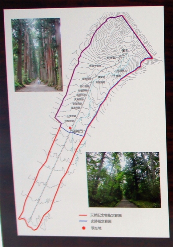 DSC00175_R