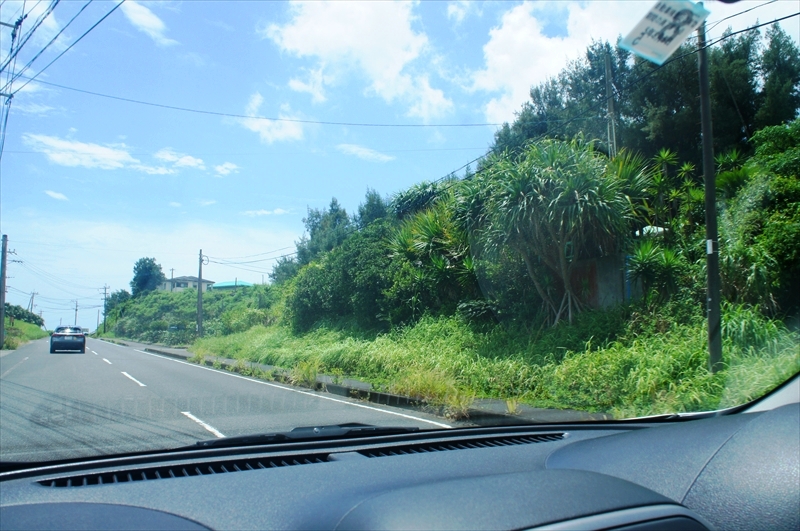 DSC00915_R