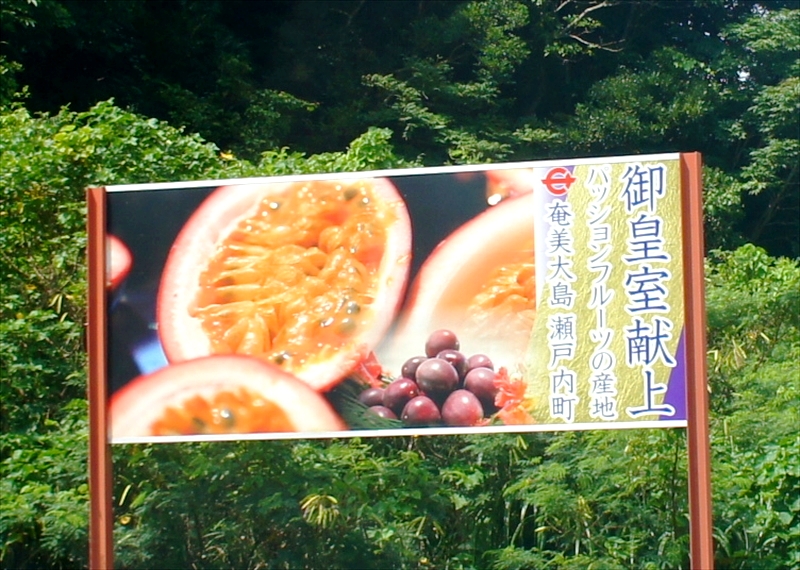 DSC00477_R