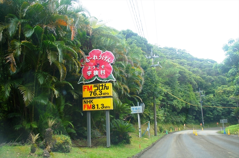DSC00290_R