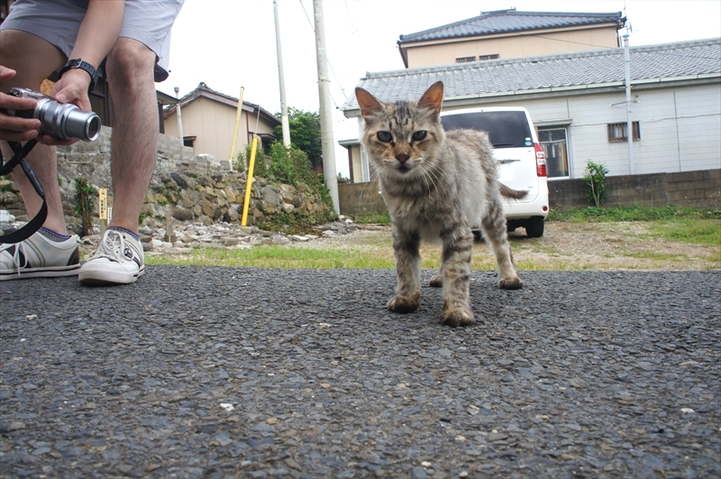 DSC01808_R