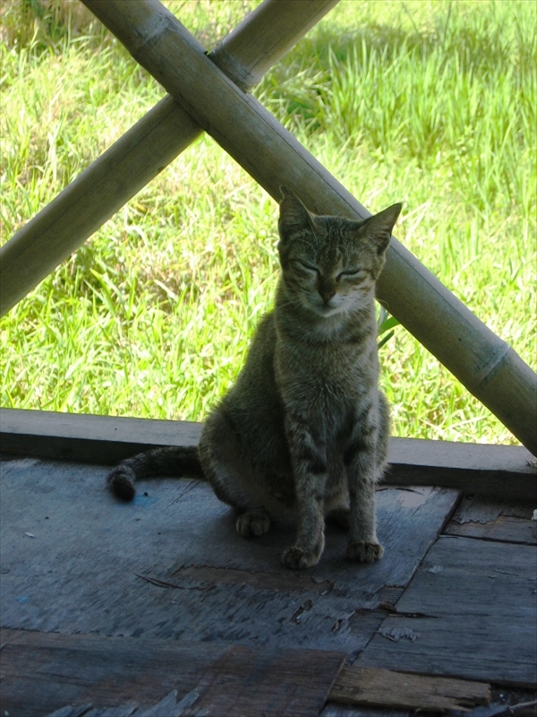IMG_3690_R