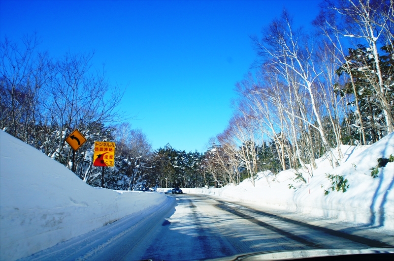 DSC00252_R