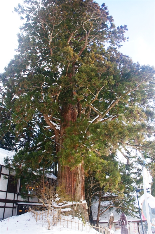 DSC00136_R