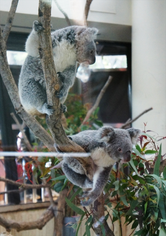 DSC01207_R