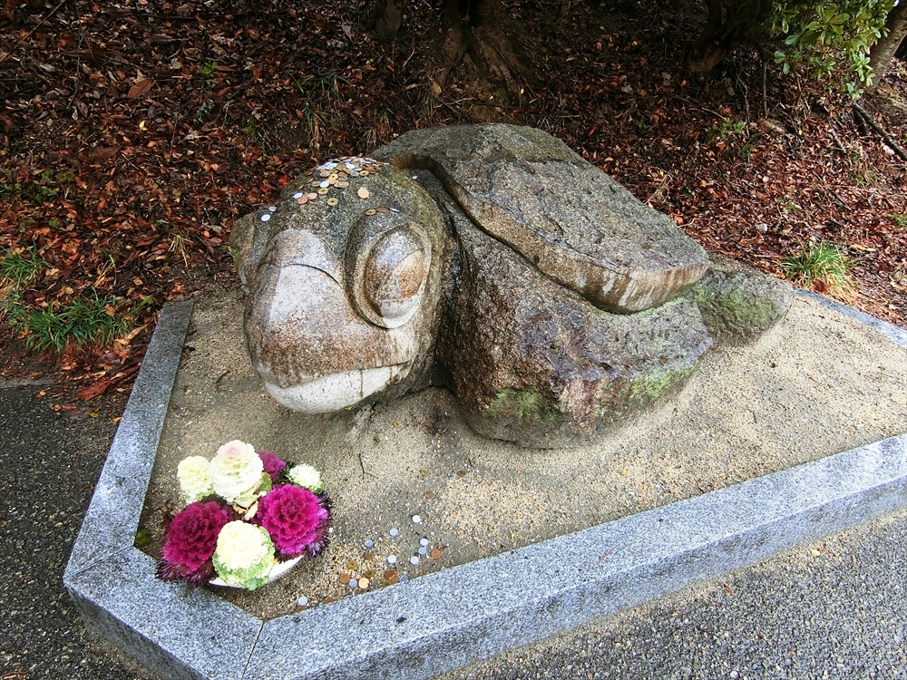 CIMG7692_R