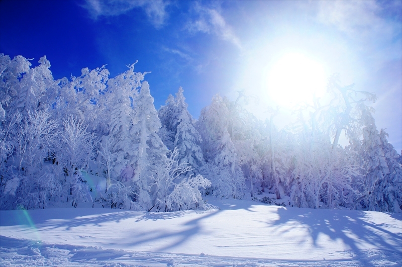 DSC00370_R